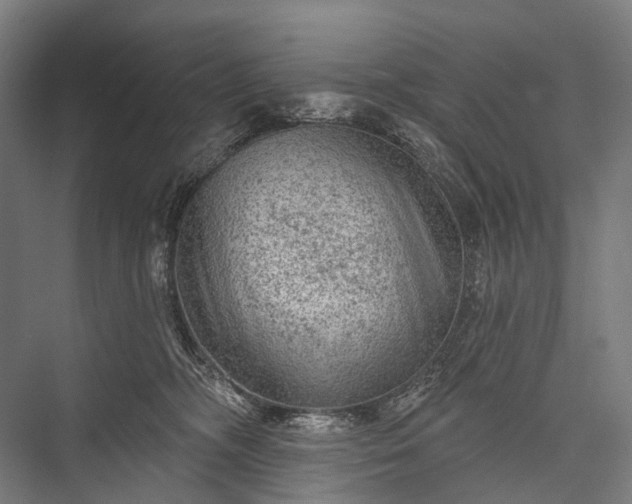 X0000076300326200610061310