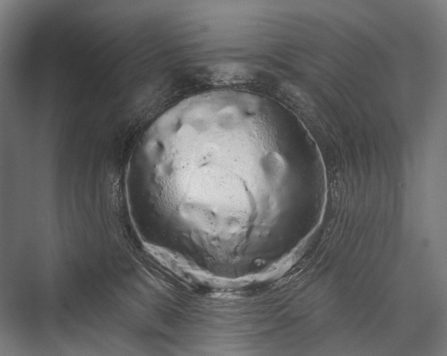 X0000076300327200610061310