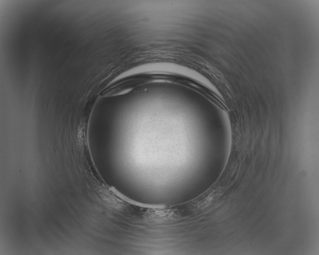 X0000076300329200610061310