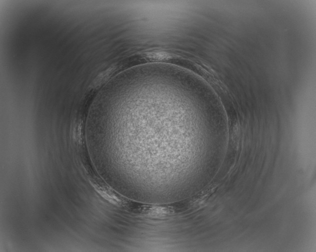 X0000076300330200610061310