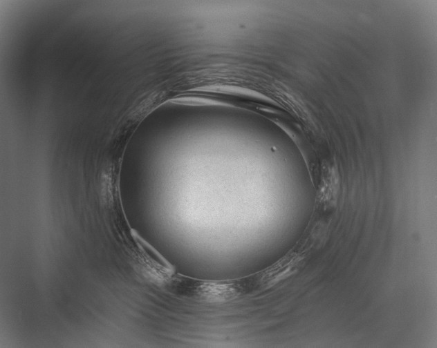 X0000076300333200610061310