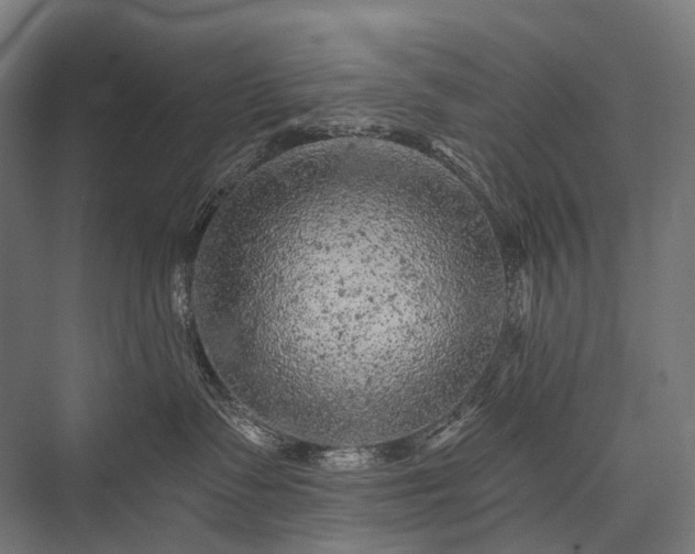 X0000076300335200610061310