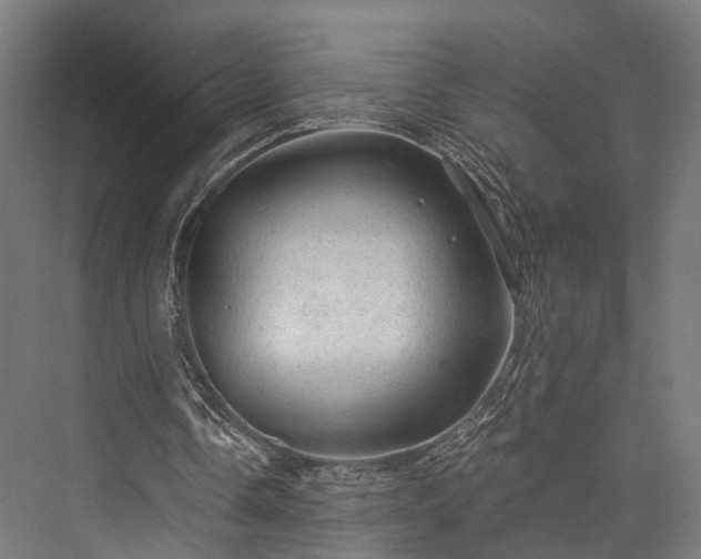 X0000076300338200610061309