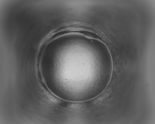 X0000076300341200610061310