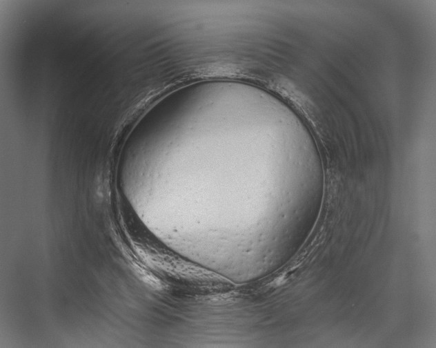 X0000076300345200610061310