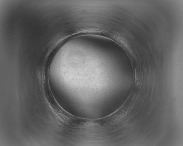 X0000076300348200610061310