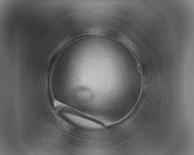 X0000076300349200610061310