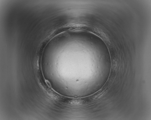 X0000076300358200610061310