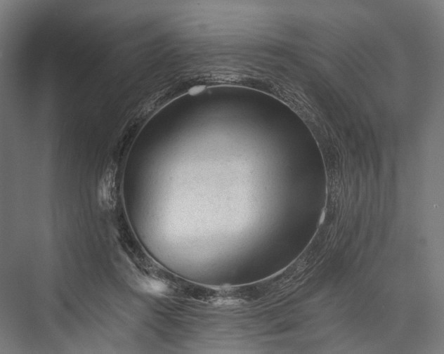X0000076300360200610061310