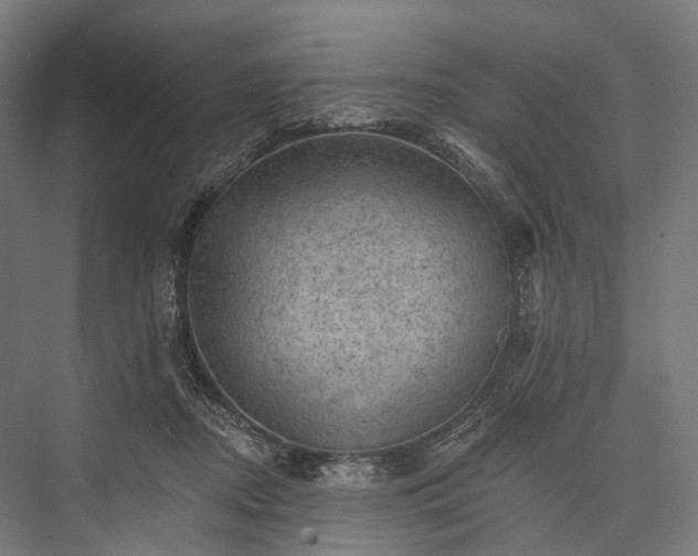 X0000076300362200610061310
