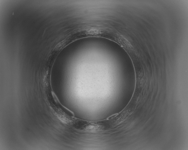 X0000076300364200610061310