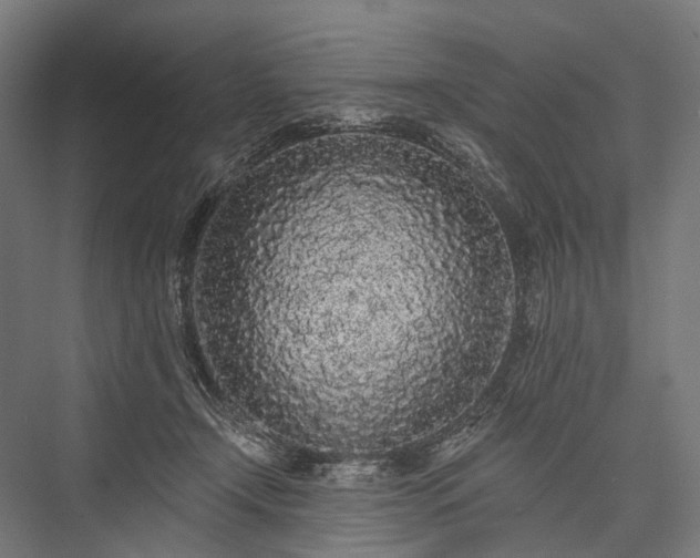 X0000076300366200610061310