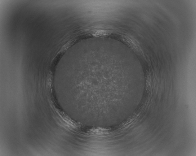 X0000076300367200610061310