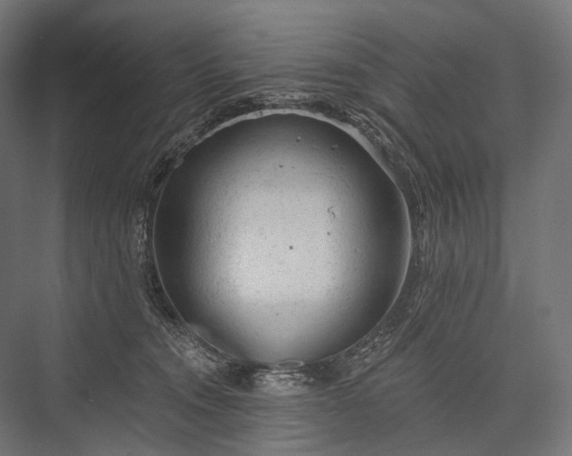 X0000076300372200610061310