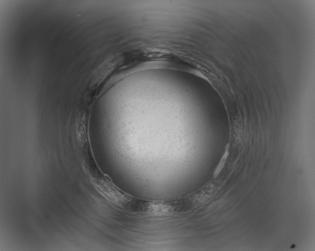 X0000076300376200610061310