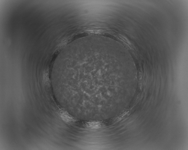 X0000076300377200610061310