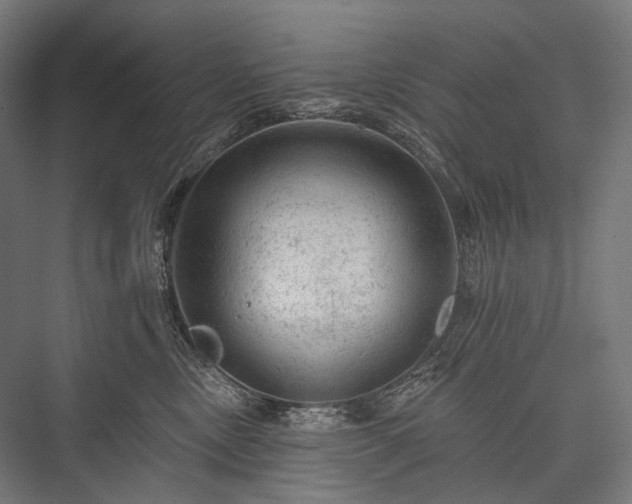 X0000076300378200610061310