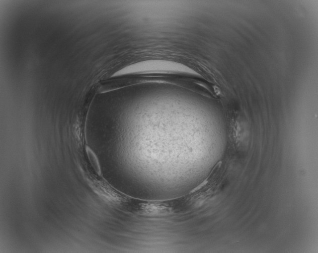 X0000076300380200610061310