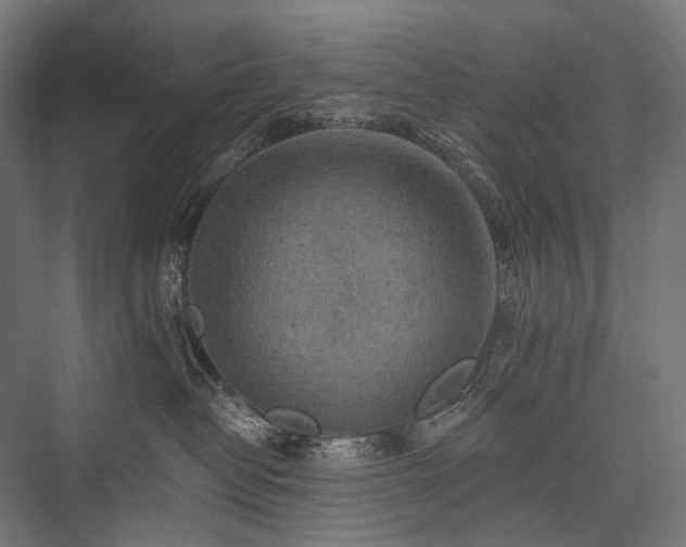 X0000076300382200610061310