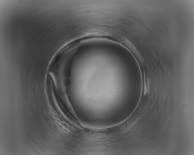 X0000076300387200610061309