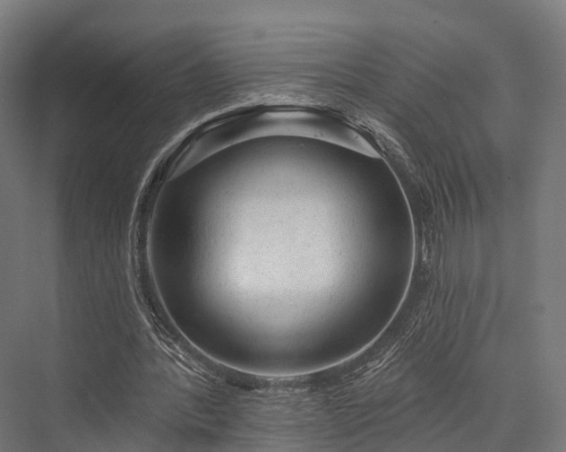 X0000076300388200610061309