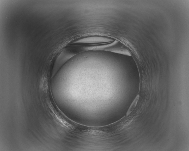 X0000076300393200610061309