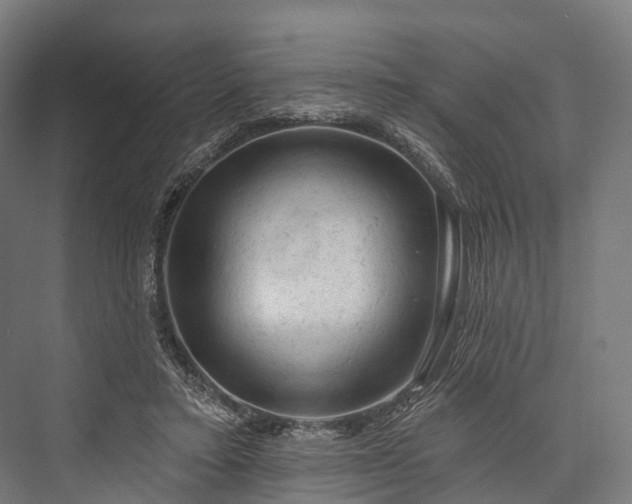 X0000076300403200610061309