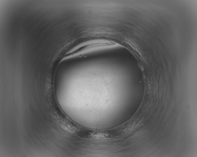 X0000076300407200610061309