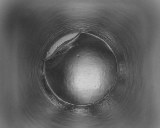 X0000076300408200610061309