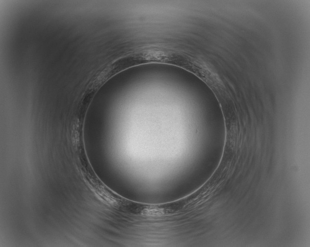 X0000076300413200610061309