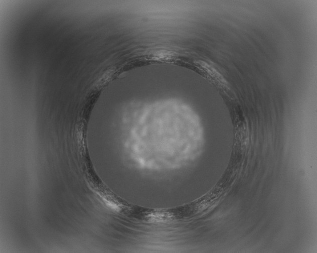 X0000076300415200610061309