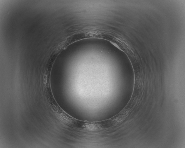 X0000076300417200610061309