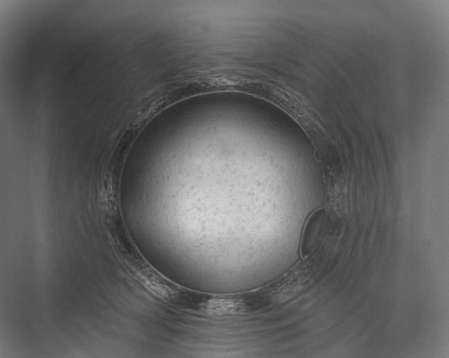 X0000076300418200610061309