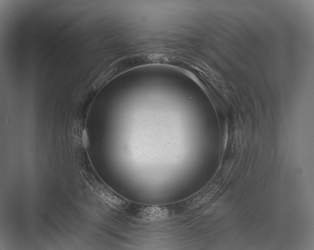 X0000076300421200610061309