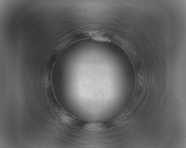 X0000076300422200610061309