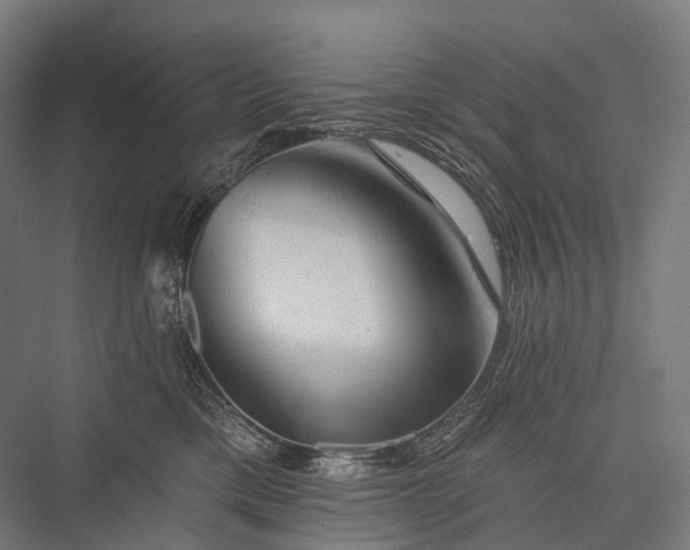 X0000076300425200610061309