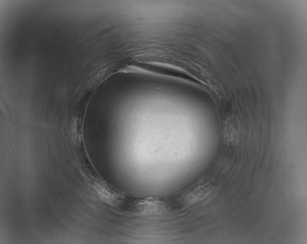 X0000076300428200610061309