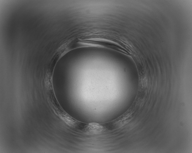 X0000076300429200610061309