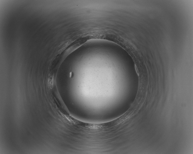 X0000076300432200610061309