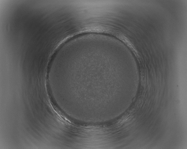X0000076300434200610061308