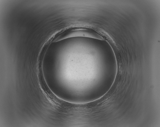 X0000076300436200610061308