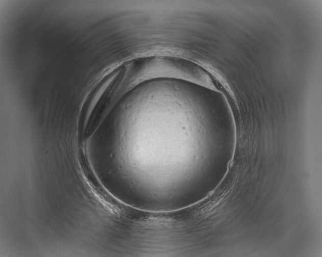 X0000076300437200610061308