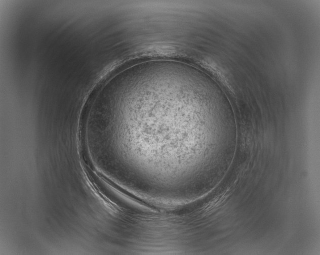 X0000076300439200610061308