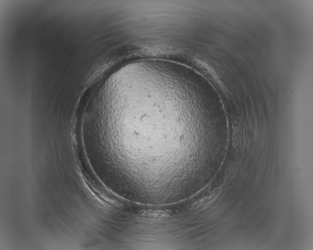 X0000076300443200610061308