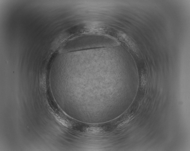 X0000076300444200610061308