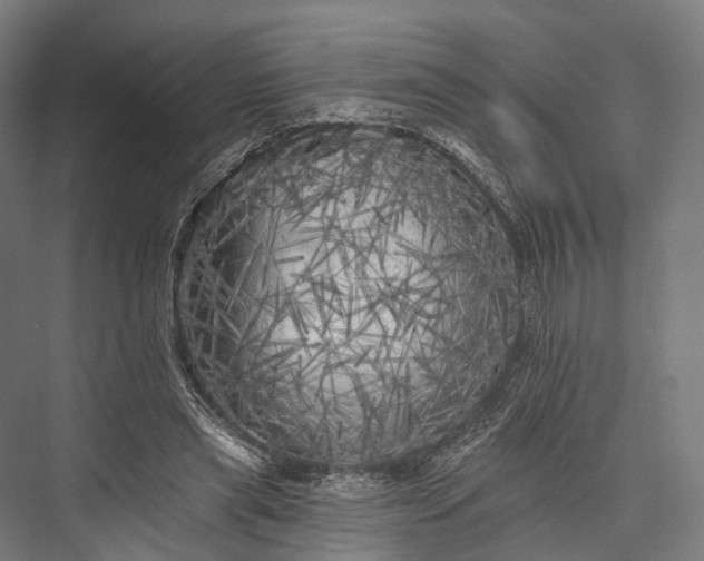 X0000076300445200610061308