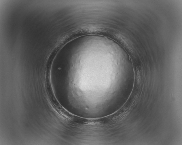 X0000076300447200610061308