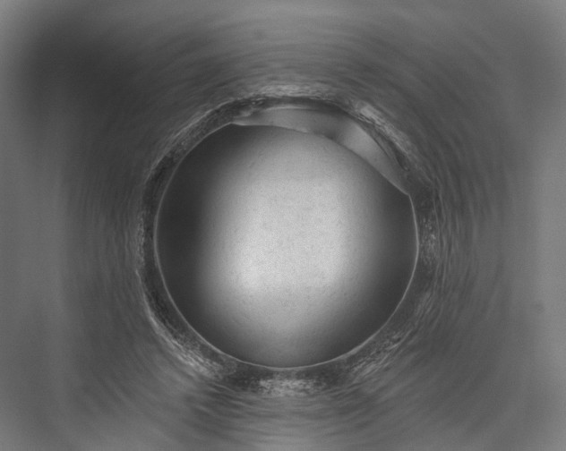 X0000076300448200610061308