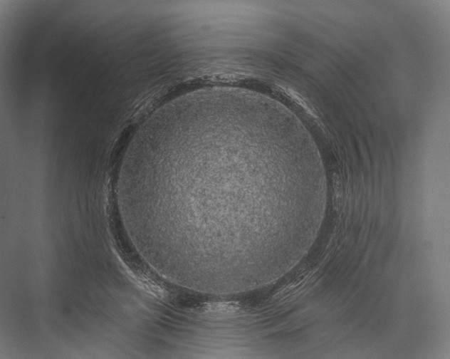 X0000076300451200610061308