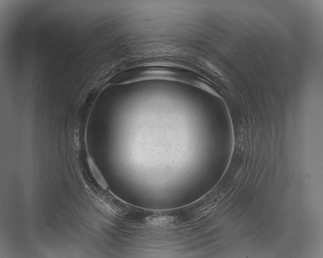X0000076300452200610061308